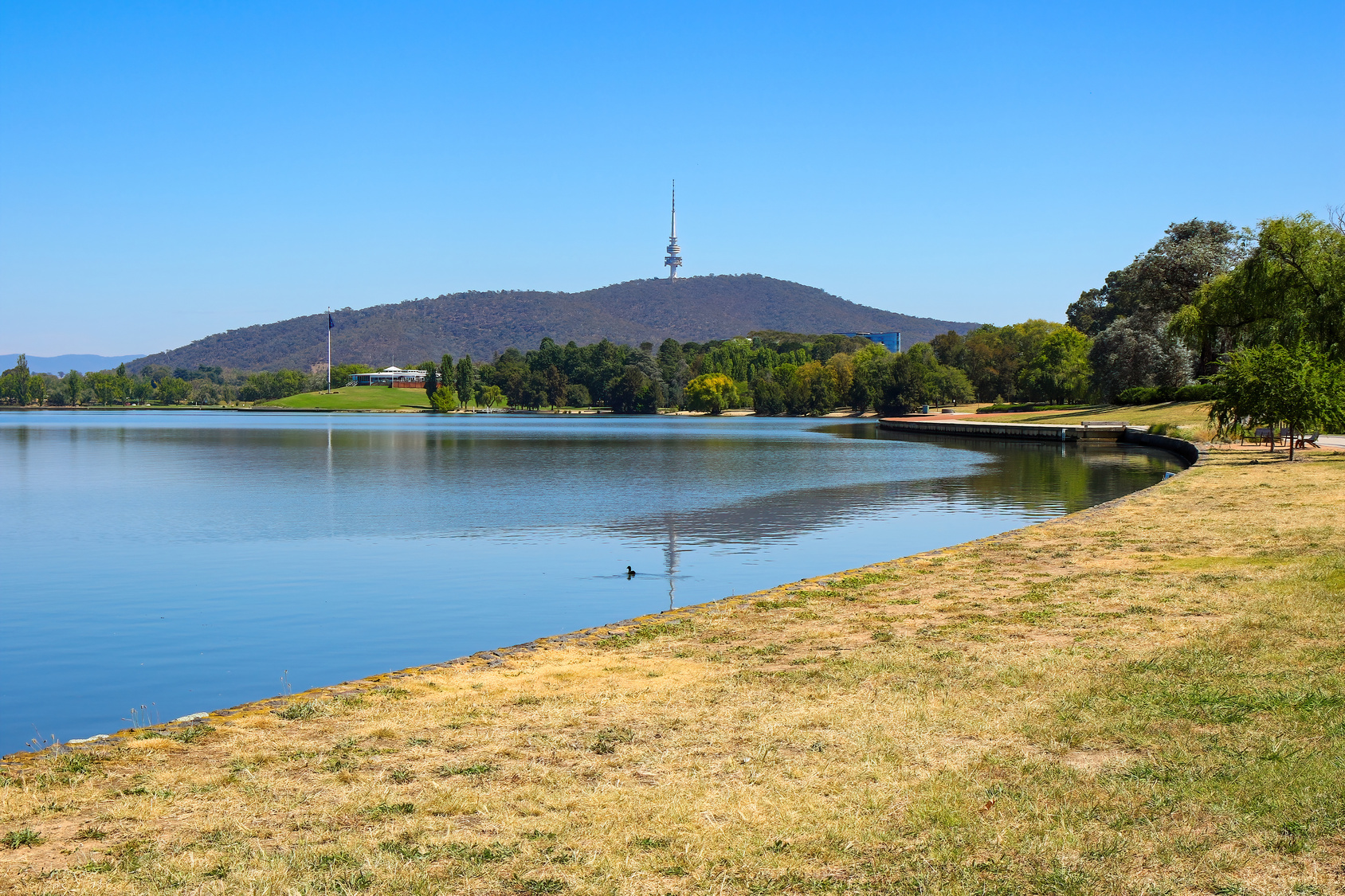 The grassy shore of Lake Burley Griffin, with Black Mountain and Telstra Tower across the water in Canberra